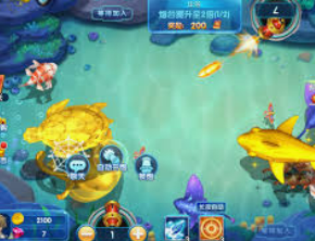 大小单双导师带赚包赔电脑免费版