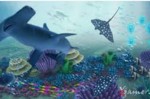 大小单双导师带赚包赔最新版