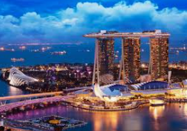 大小单双导师带赚包赔免费版